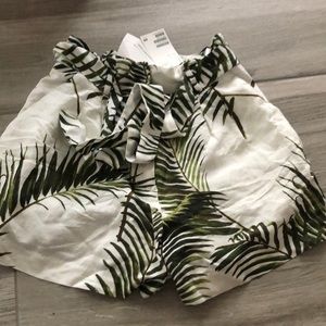 High waisted palm tree print shorts